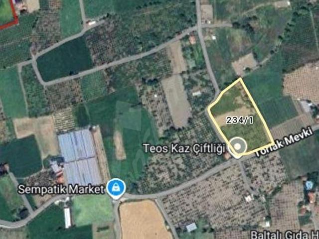 DÜZCE'DE 14500 M2 BAHÇE YOLA SIFIR