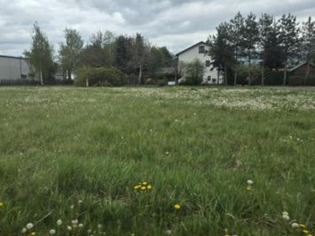 Dybów Kolonia, ul. Janusza Korczaka, 1090 m² Działka