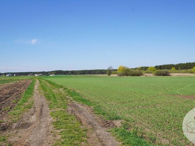 Działka, Młodzikówko, 822.00 m², sprzedam działkę