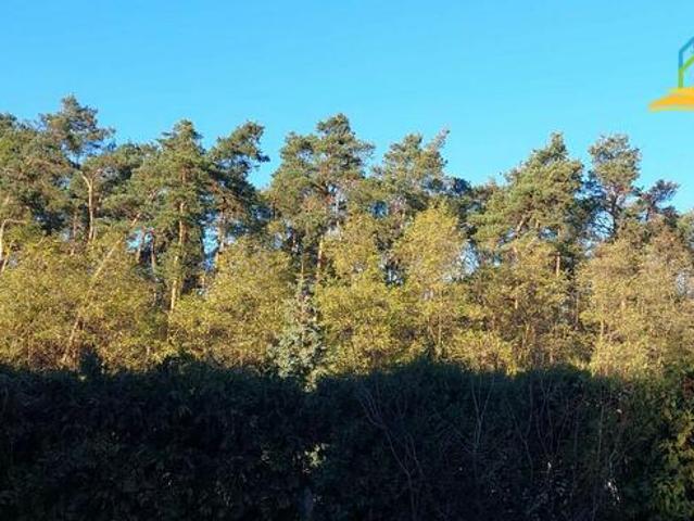 Działka Marylka gm. Tarczyn