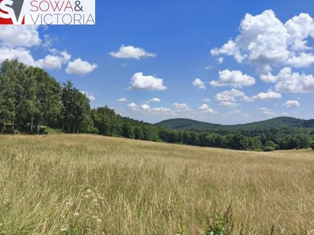 Działka, Michałkowa, 3000.00 m², sprzedam działkę