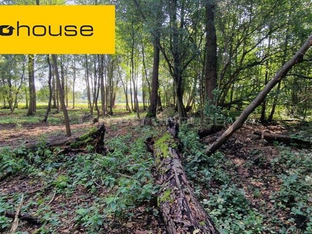 Działka, Mościska, Skowronkowa, 8832.00 m², sprzedam działkę