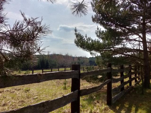 Działka na sprzedaż, Lipowa