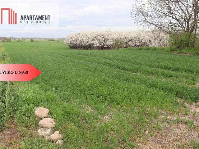 Działka na sprzedaż