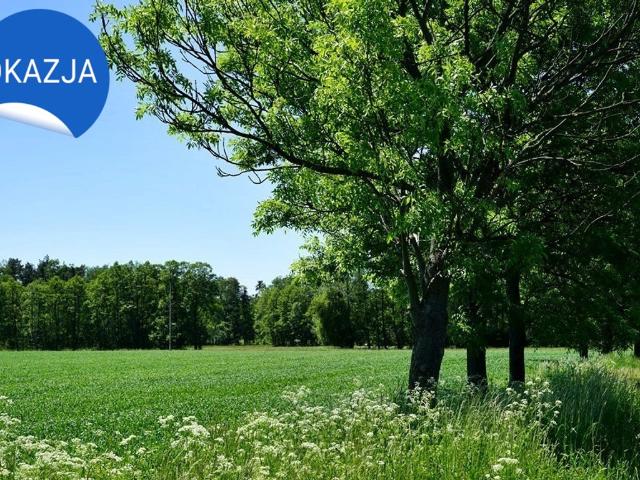 Działka na sprzedaż