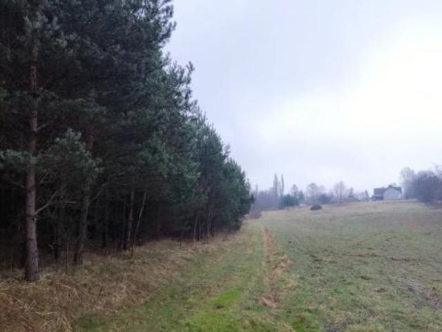 Działka na sprzedaż