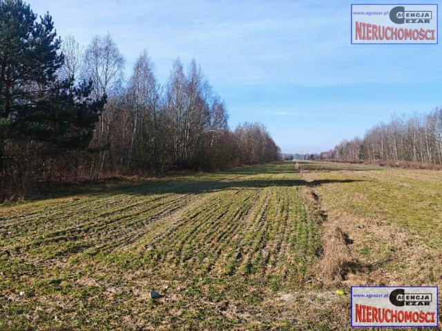 Działka na sprzedaż
