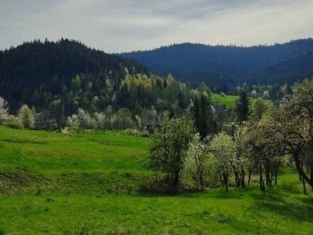 Działka na sprzedaż