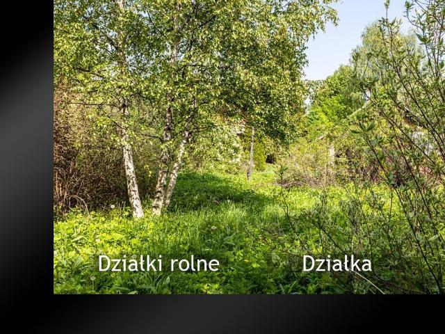 Działka na sprzedaż