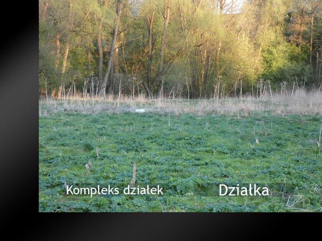 Działka na sprzedaż