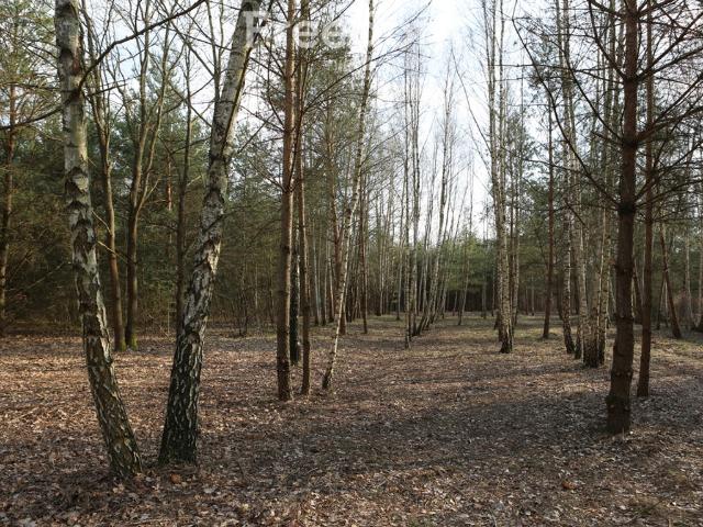 Działka na sprzedaż, Akacjowa