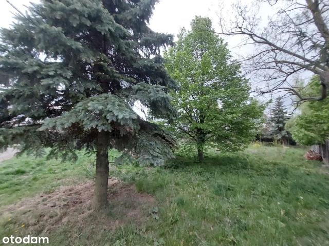 Działka na sprzedaż, Główna