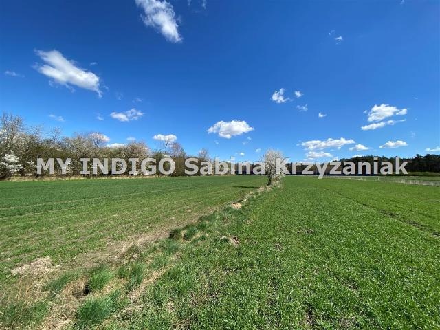 Działka na sprzedaż, Gliwice, Żerniki