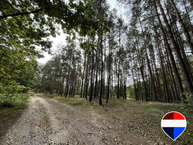 Działka na sprzedaż, Graniczna