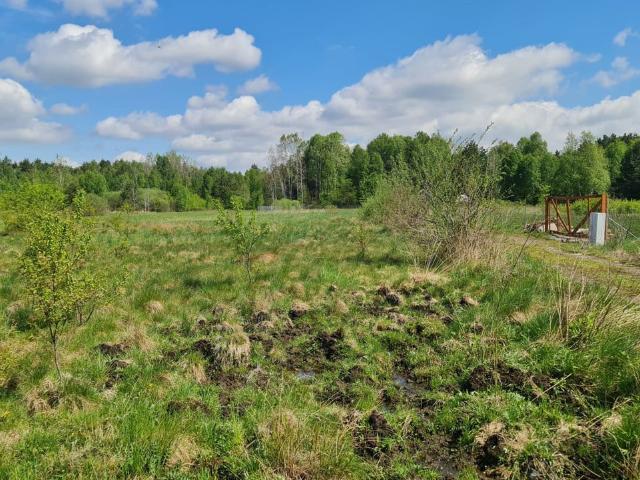 Działka na sprzedaż, Dąbrowa Górnicza, Błędów, Kuźnica Błędowska