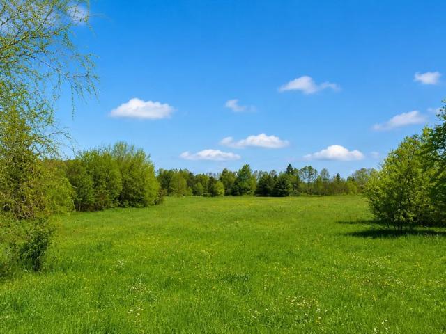Działka na sprzedaż, Dąbrowa Górnicza, Błędów, Żołnierska