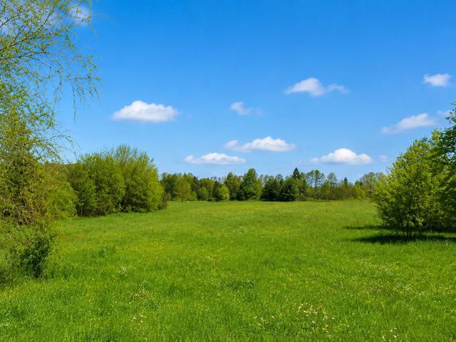 Działka na sprzedaż, Dąbrowa Górnicza, Błędów, Żołnierska