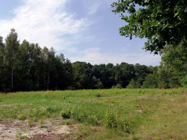 Działka na sprzedaż, Dąbrowa Górnicza, Błędów, Sztorcowa