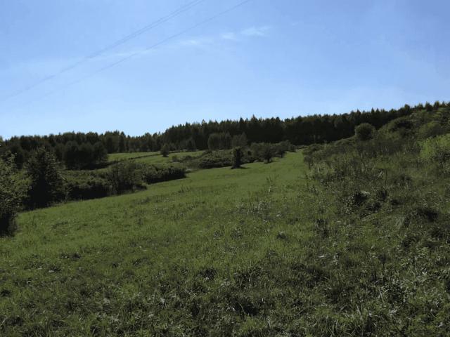 Działka na sprzedaż, Dąbrowa Górnicza, Okradzionów, Białej Przemszy