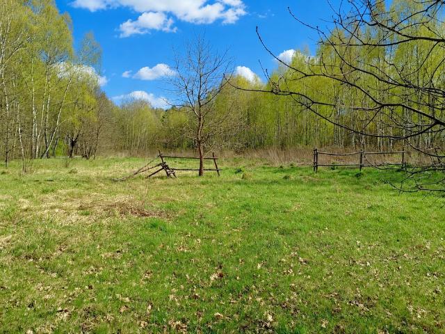 Działka na sprzedaż, Dąbrowa Górnicza, Okradzionów, Kuźniczka Nowa