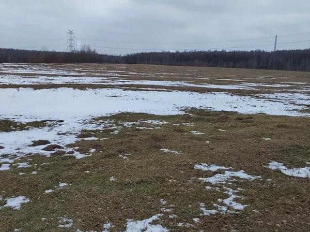 Działka na sprzedaż, Dąbrowa Górnicza, Łosień