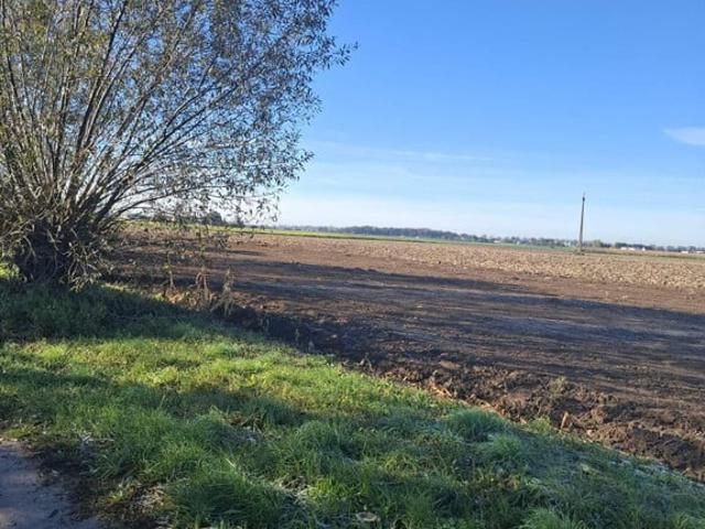 Działka na sprzedaż, Kalwowska