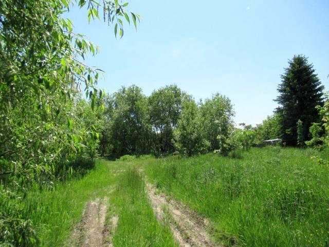 Działka na sprzedaż, Kielce, Dyminy