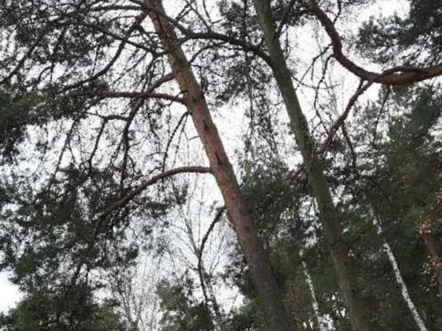 Działka na sprzedaż, Księdza Malinowskiego