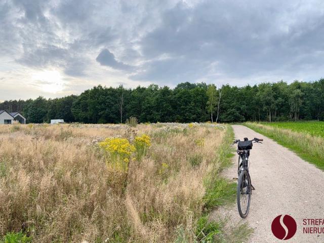 Działka na sprzedaż, Kurkowa
