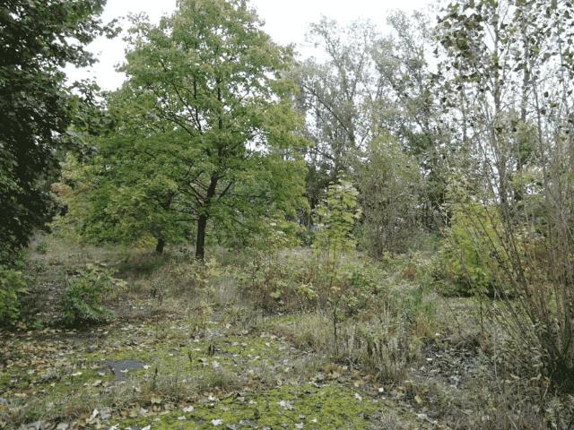 Działka na sprzedaż, Łódź, Bałuty, Kaczeńcowa