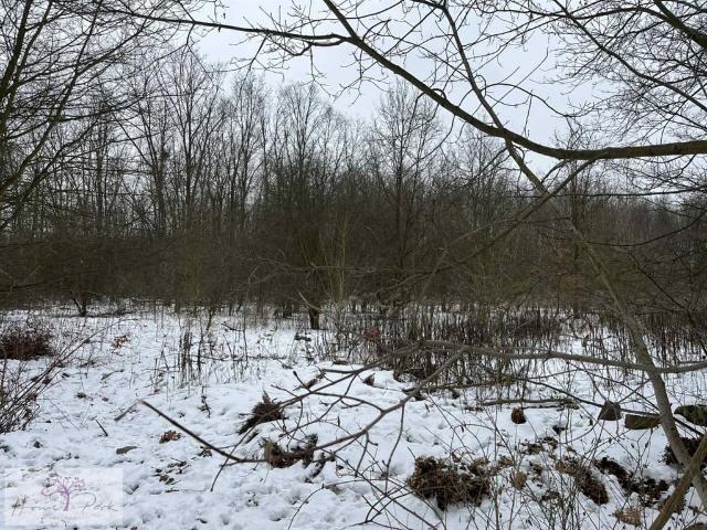 Działka na sprzedaż, Łódź, Górna