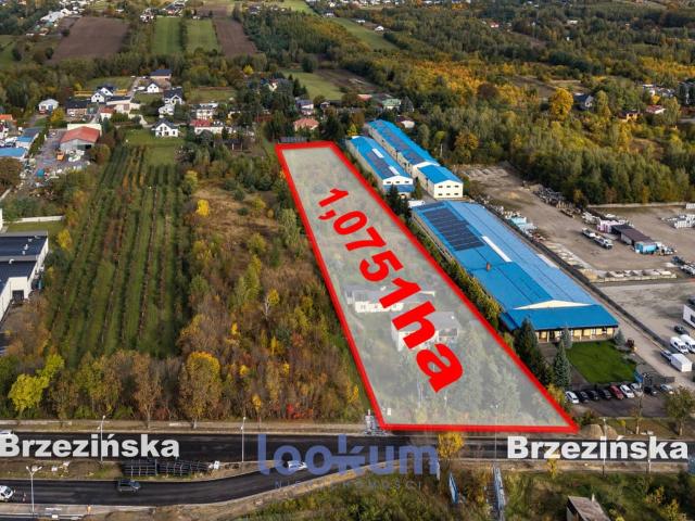 Działka na sprzedaż, Łódź, Widzew, Brzezińska