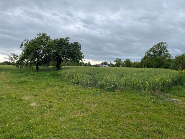 Działka na sprzedaż, Ogrodowa