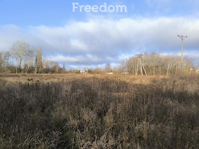 Działka na sprzedaż, Olchowa