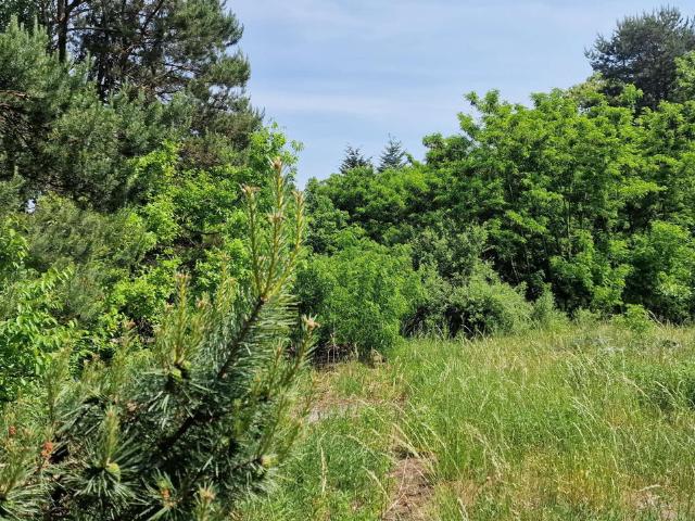 Działka na sprzedaż, Olsztyn, Gutkowo, Przepiórcza