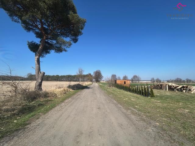 Działka na sprzedaż, Leśna