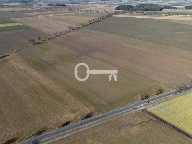 Działka na sprzedaż, Leśna