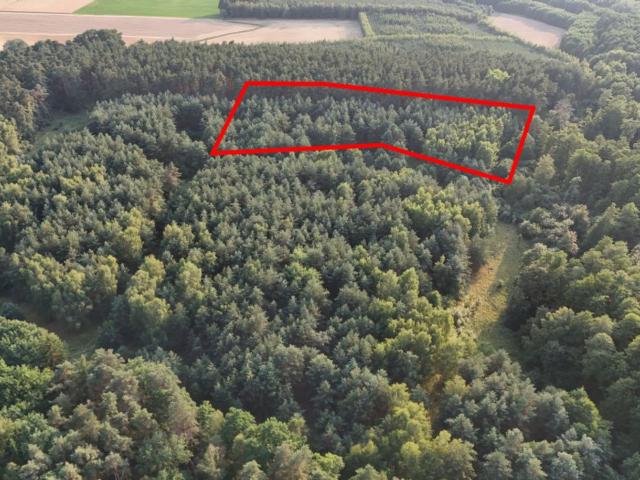 Działka na sprzedaż, Leśna