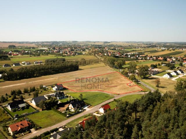 Działka na sprzedaż, Leśna