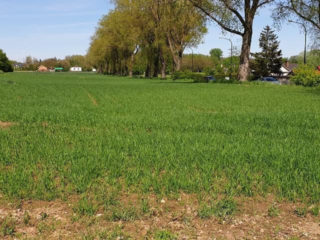 Działka na sprzedaż, Lublin, Krężnicka