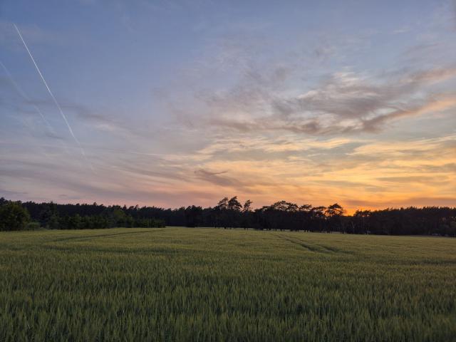 Działka na sprzedaż, Miła