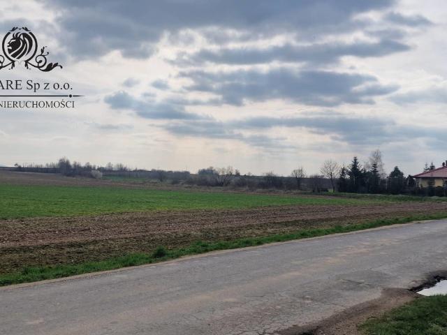 Działka na sprzedaż, Sokolniki