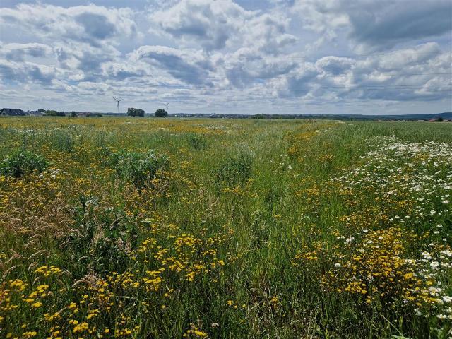 Działka na sprzedaż, Swarzewska