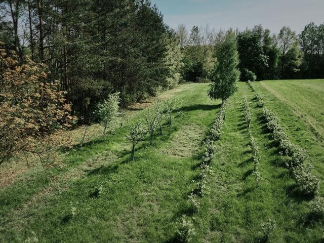 Działka na sprzedaż, Szymanówek