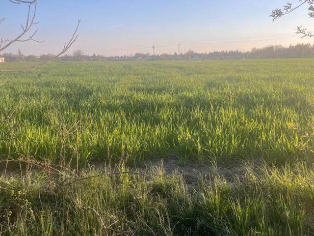 Działka na sprzedaż, Szkolna