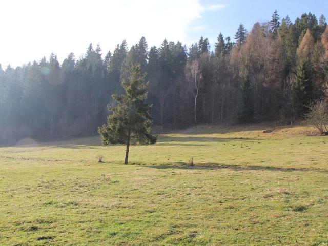 Działka na sprzedaż, Szkolna