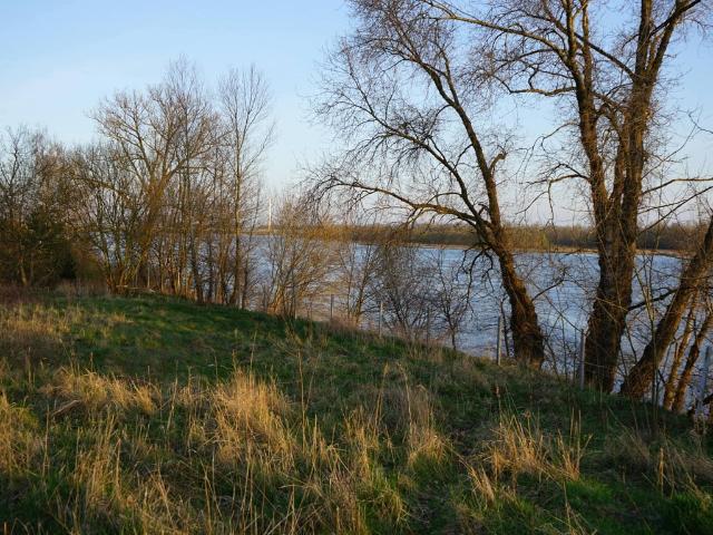Działka na sprzedaż, Płock, Norbertańska