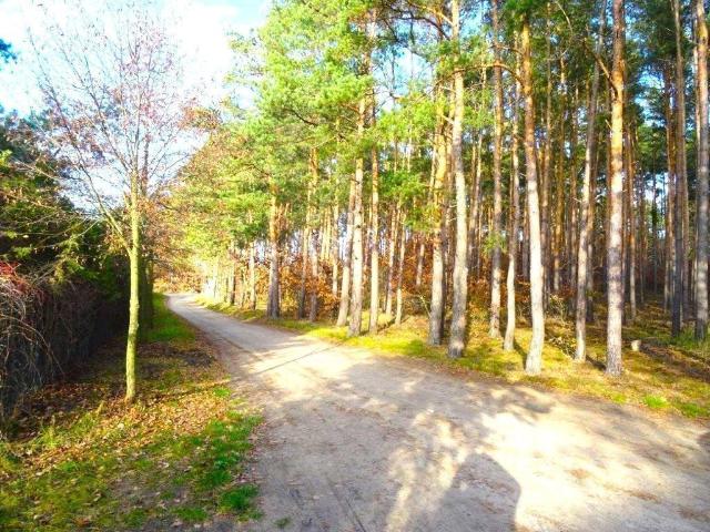 Działka na sprzedaż, Poznańska