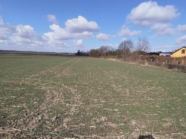 Działka na sprzedaż, Polna
