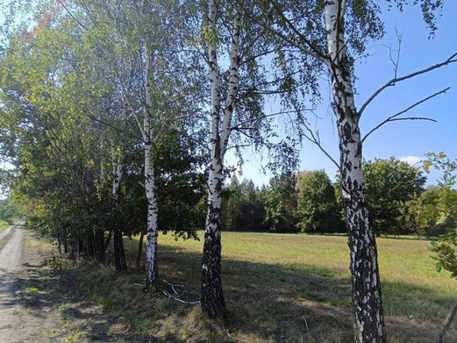 Działka na sprzedaż, Polnych Kwiatów